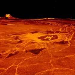 Venus