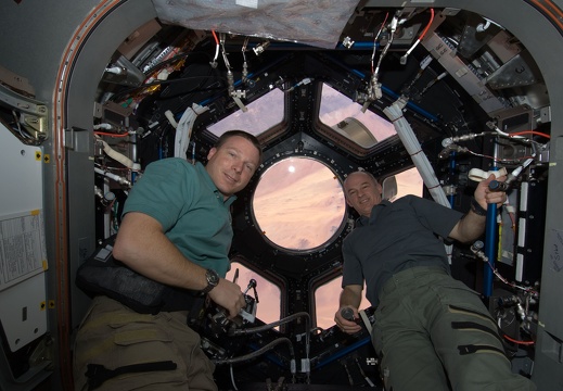 STS130TerryVirtsJeffreyWilliamsnasa