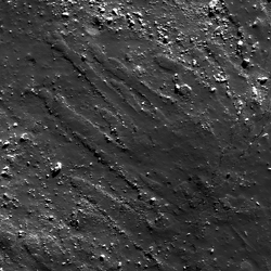 Mond