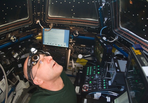 iss031e069284DonPettitonSSRMSnasa