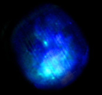 Supernovarest W44