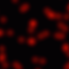 GRB 130427A