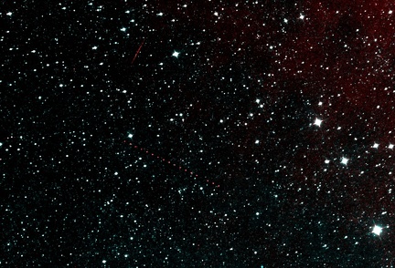 die ersten Asteroiden von Neowise