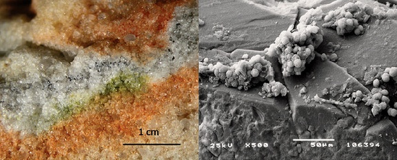 Abschnitt des Felsens mit cryptoendolithic Mikroorganismen