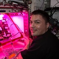Astronaut Kjell Lindgren wässert den Zinniensamen