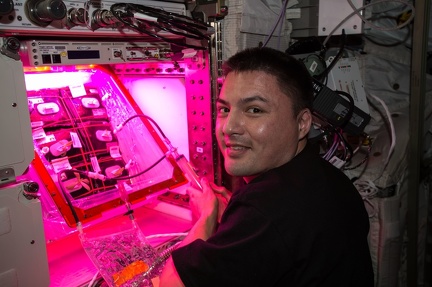 Astronaut Kjell Lindgren wässert den Zinniensamen