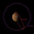 Die Umlaufbahn von MAVEN