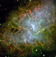 Der Crab Pulsar