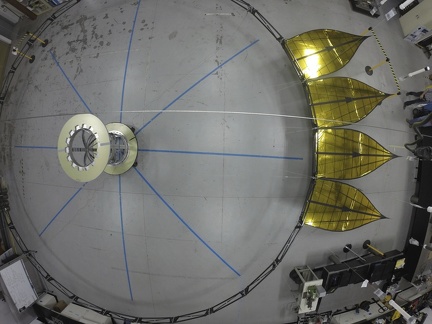 Starshade mit vier Blütenblätter 