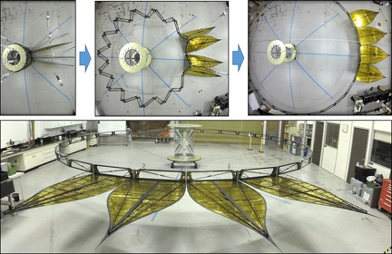 Starshade mit vier Blütenblätter