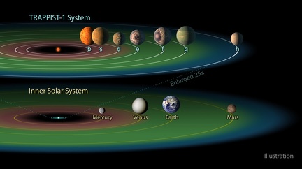 Die TRAPPIST-1 Habitable Zone 