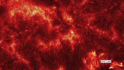 die Spicules auf der Sonne