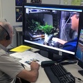 Veggie Experiment auf der ISS