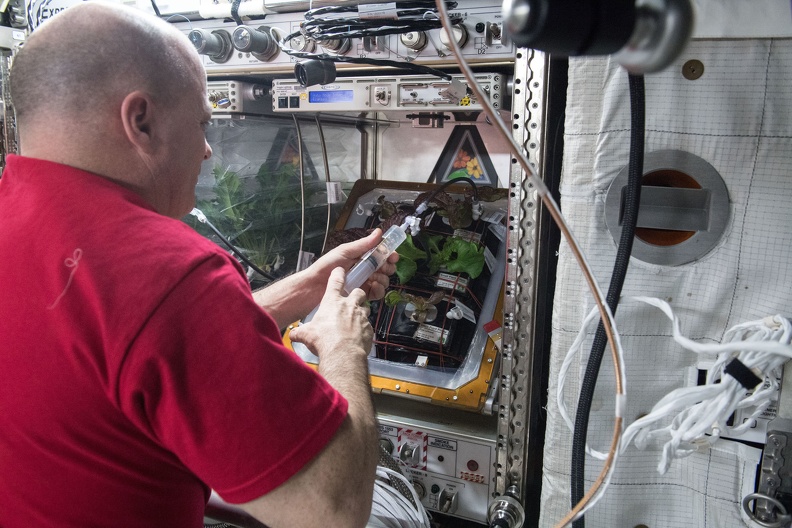 iss055e000811.jpg