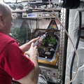 ISS Expedition 55 - Veg-03 Experiment