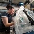 ISS - Experiment MICS 2