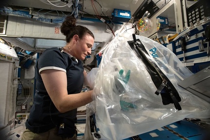 ISS - Experiment MICS 2