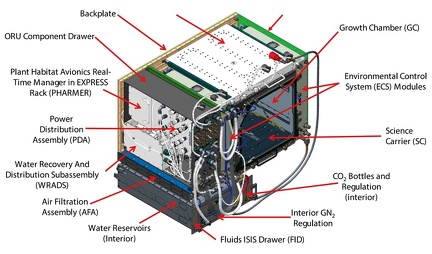 ISS Experiment Plant Habitat 1