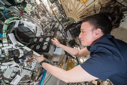 ISS - Forschung