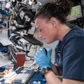 ISS - Forschung