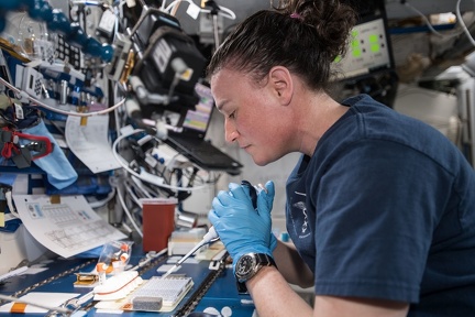 ISS - Forschung