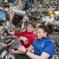 ISS - Training
