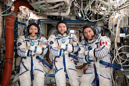 ISS Expedition 58/59 - Rückkehr
