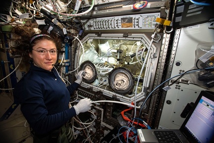 ISS - Christina Koch an der Glovebox