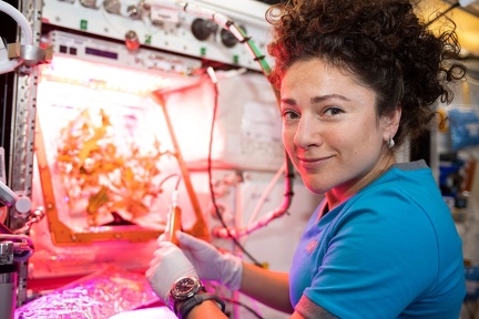 ISS - Salat-Ernte