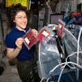 ISS - BioFabrication Facility (BFF)