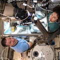 ISS -&nbsp; Life Sciences Glovebox