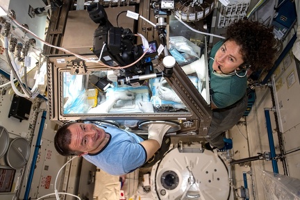 ISS -&nbsp; Life Sciences Glovebox