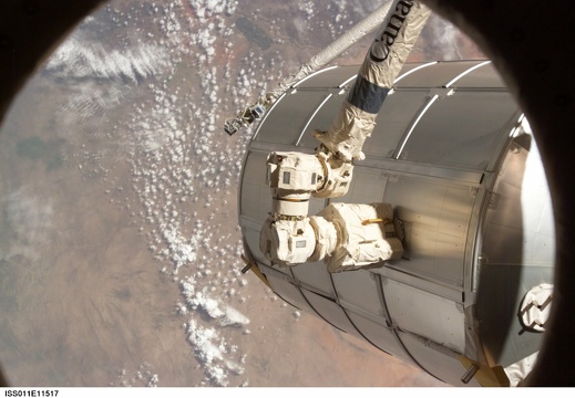 iss011e11517sts114rapnasa