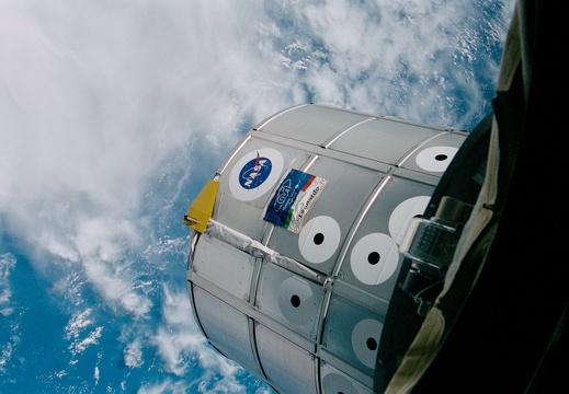 sts102368015Leonasa