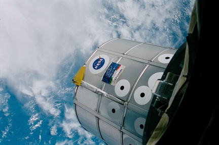 sts102368015Leonasa