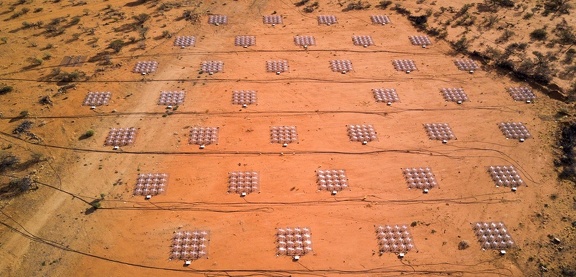 Das Murchison Widefield Array (MWA)