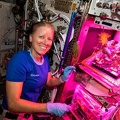 ISS - Salat-Ernte