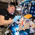 ISS - Experiment Pflanzenzucht