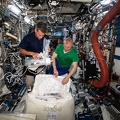 ISS - Microgravity Science Glovebox