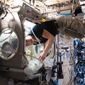 ISS - Microgravity Science Glovebox