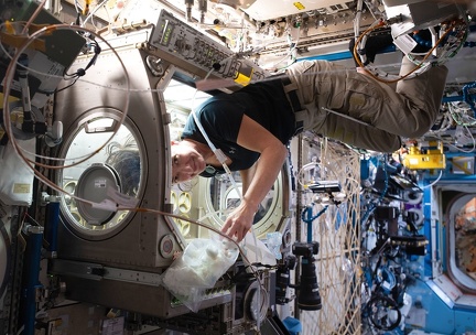 ISS - Microgravity Science Glovebox