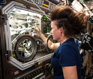ISS - Microgravity Science Glovebox