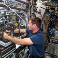 ISS - Microgravity Science Glovebox