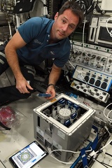 ISS - Molecular Muscle Experiment-2