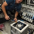 ISS - Molecular Muscle Experiment-2