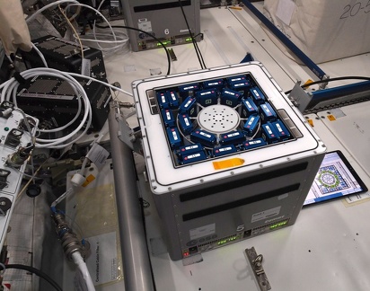 ISS - Molecular Muscle Experiment-2