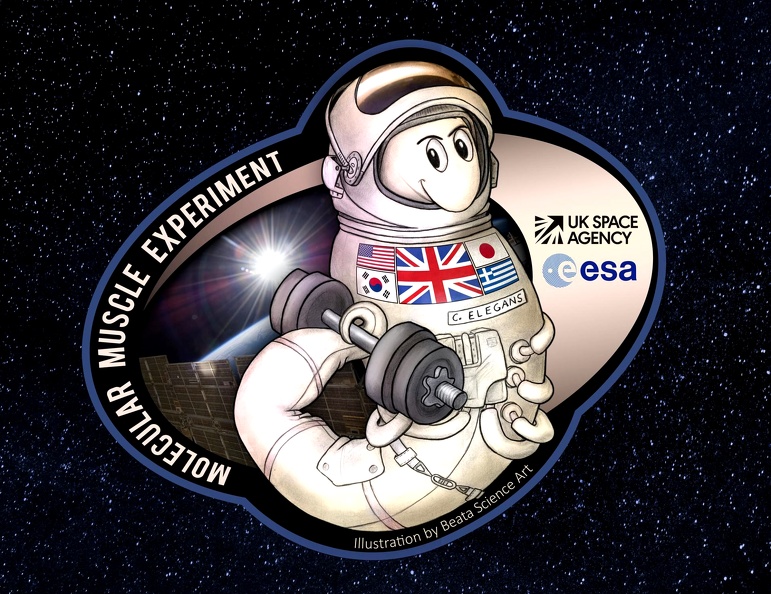 MME-Space-Mission-Patch.jpg