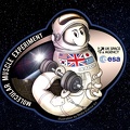 ISS - Molecular Muscle Experiment-2