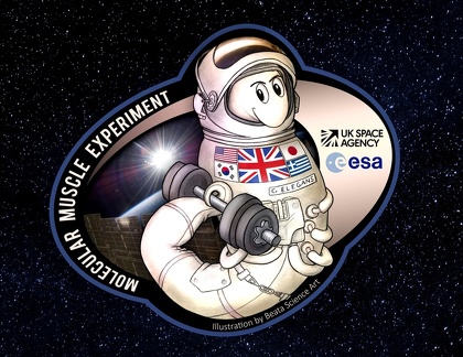 ISS - Molecular Muscle Experiment-2