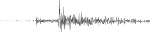 Seismogram vom Mars